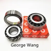 Roulement à Billes FUSHIBEARING 24408 - Dimensions 24x40x8 Mm, Non Standard, Pour Usage Spécial, 1 Pièce