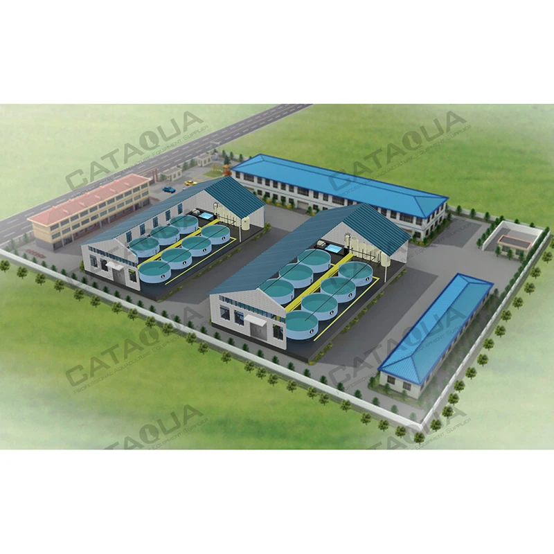 CATAQUA Ras Tilapia Fish Farming Equipment Recirculating Aquaculture System Price