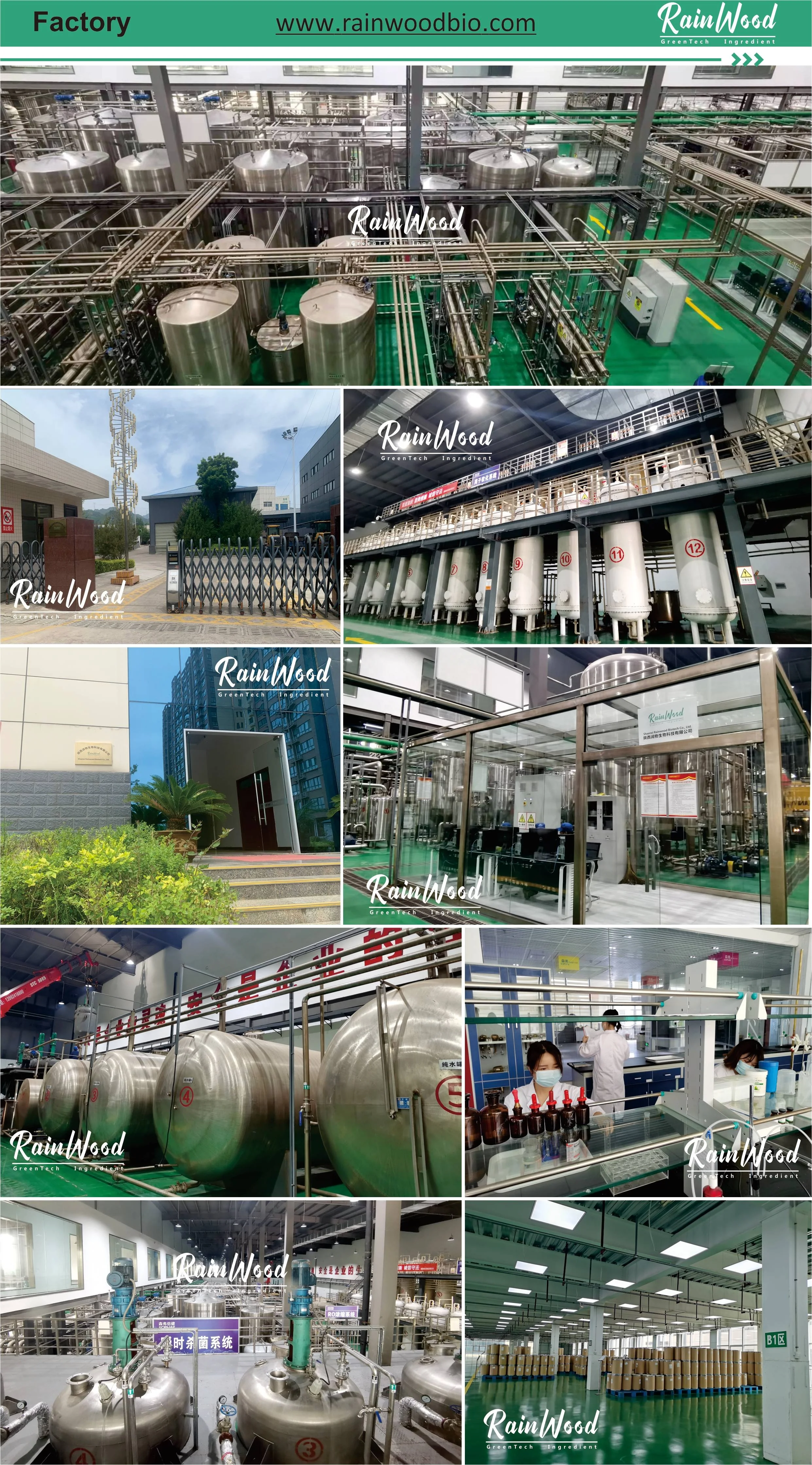 Hop Flower Extract Powder Humulus Lupulus Hops Extract Xanthohumol