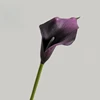 50cm Black Purple