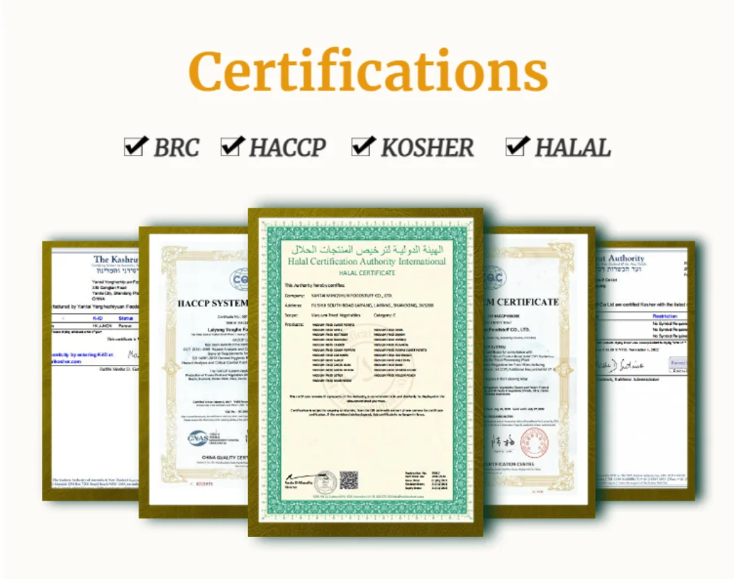 sunflower171707ページ Sunny Sunflowers by Studio E Discontinued Fabric Panel