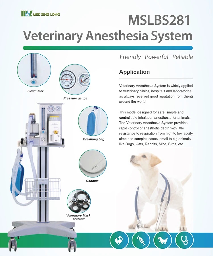 Medical veterinary gas anesthesia machine vet anesthesia equipments for pet cat dog Animal