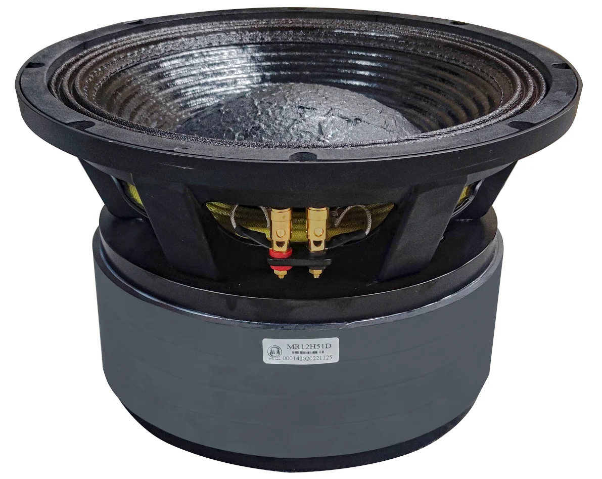 1600w Professional Dj Performance Stage Speaker Big Power 5inch Coil 4 Layers Battle