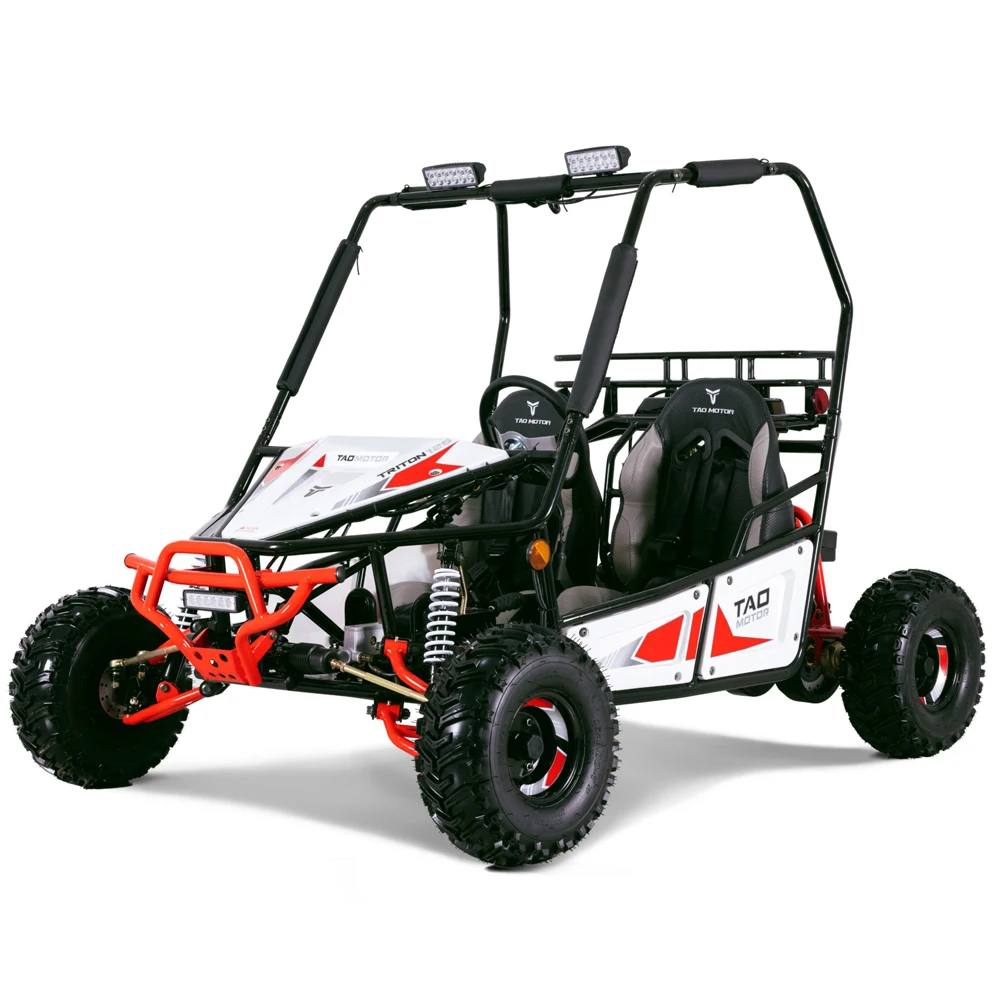 Tao Motor 2023 Buggy 125cc Go Karts for Adults Fun Thrill