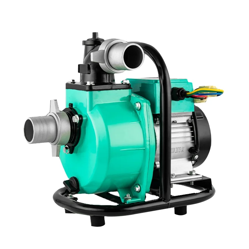 48V Variable Frequency Drive Pump with Remote Control Switch Self Priming Pump Brushless DC Motor Solar Power Surface Water Pump