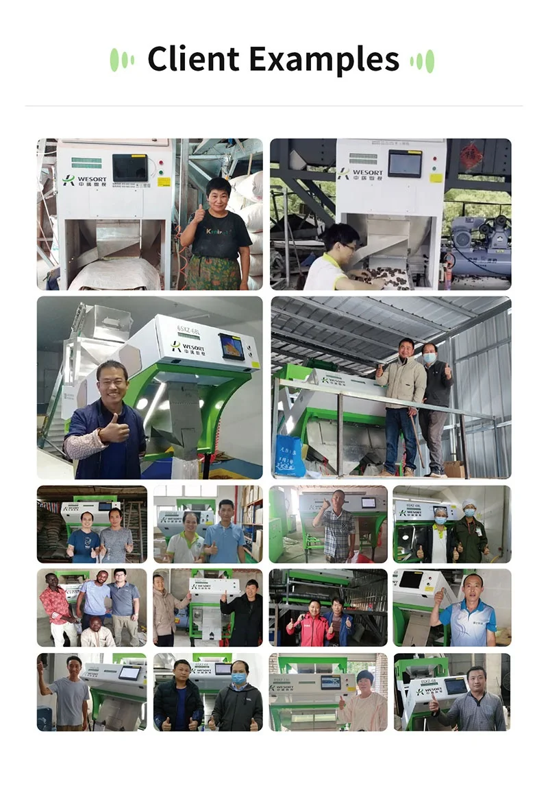 For Coffee Processing Plant ISO9001 Certified Chinese Manufacturer High Quality Color & Shape Sorter 99.9% Sorting Accuracy