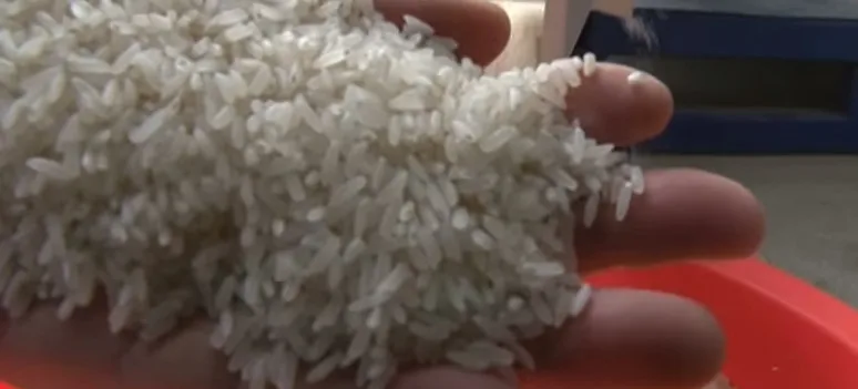 200 Tons Per Day of Complete Rice Milling Project