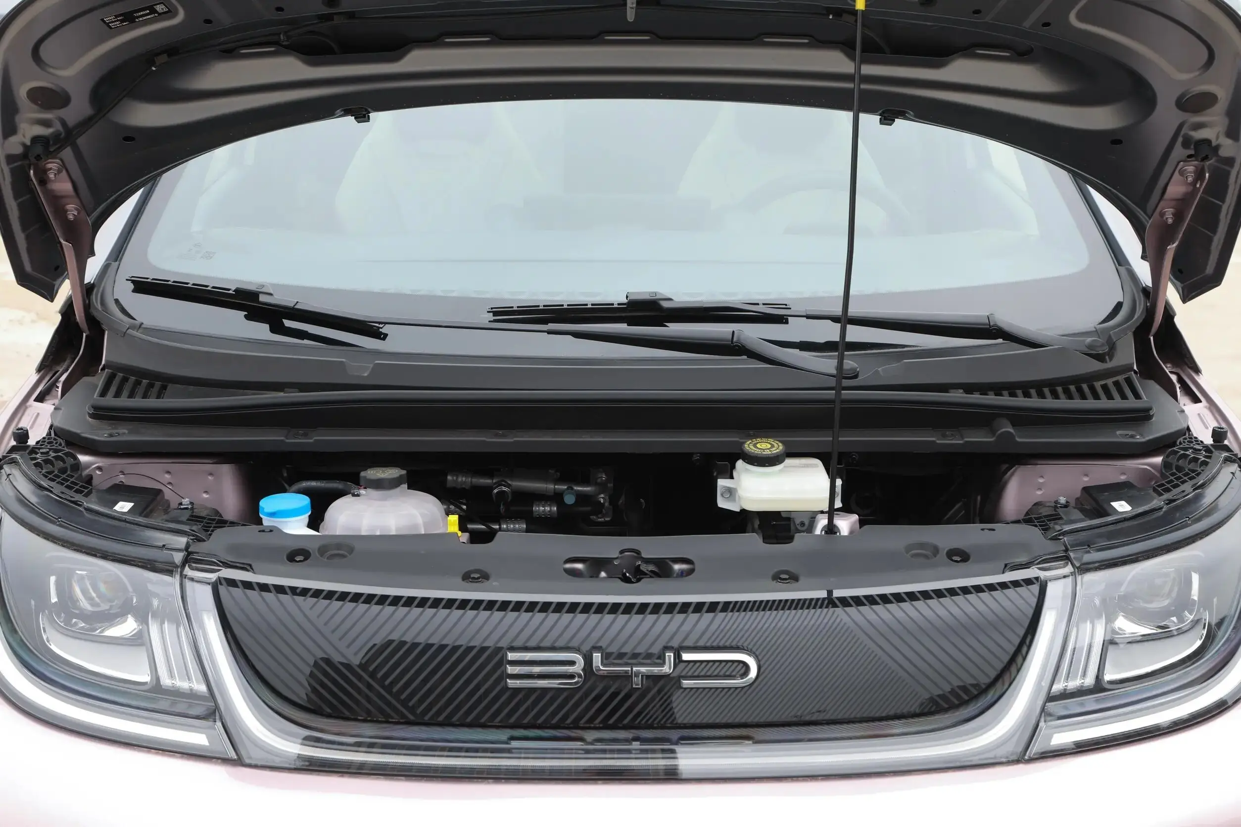 2024 Byd Dolphin Honor Free Edition Electric Vehicles 420km EV Electric Vehicles ABS System