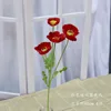 ดอกป๊อปปี้สีแดงดอกเดียว
