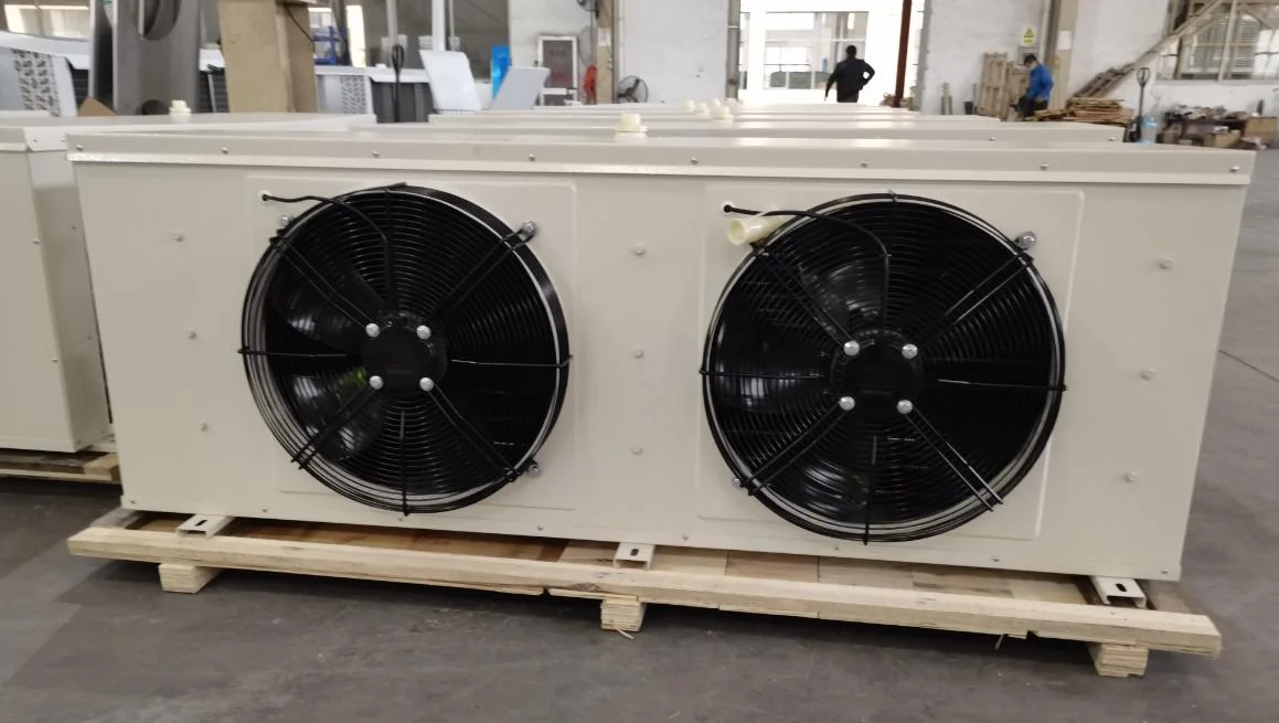 Walk in Industrial Commercial Cold Room Blast Freezer Ice Cream Vertical Upright Deep Freezer Cold Room
