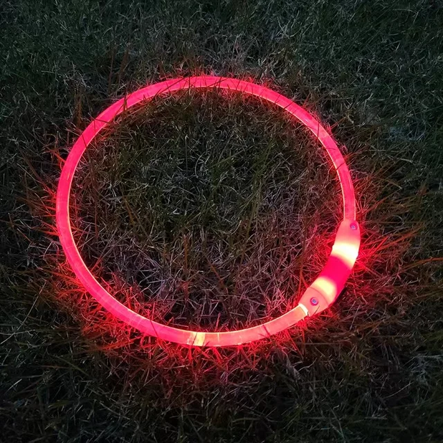 High Quality Multifunctional Bring Led Flash Pet Leash Collar Dog Traction Rope Ring With Led Light Up null
