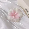 White and pink cherry blossoms