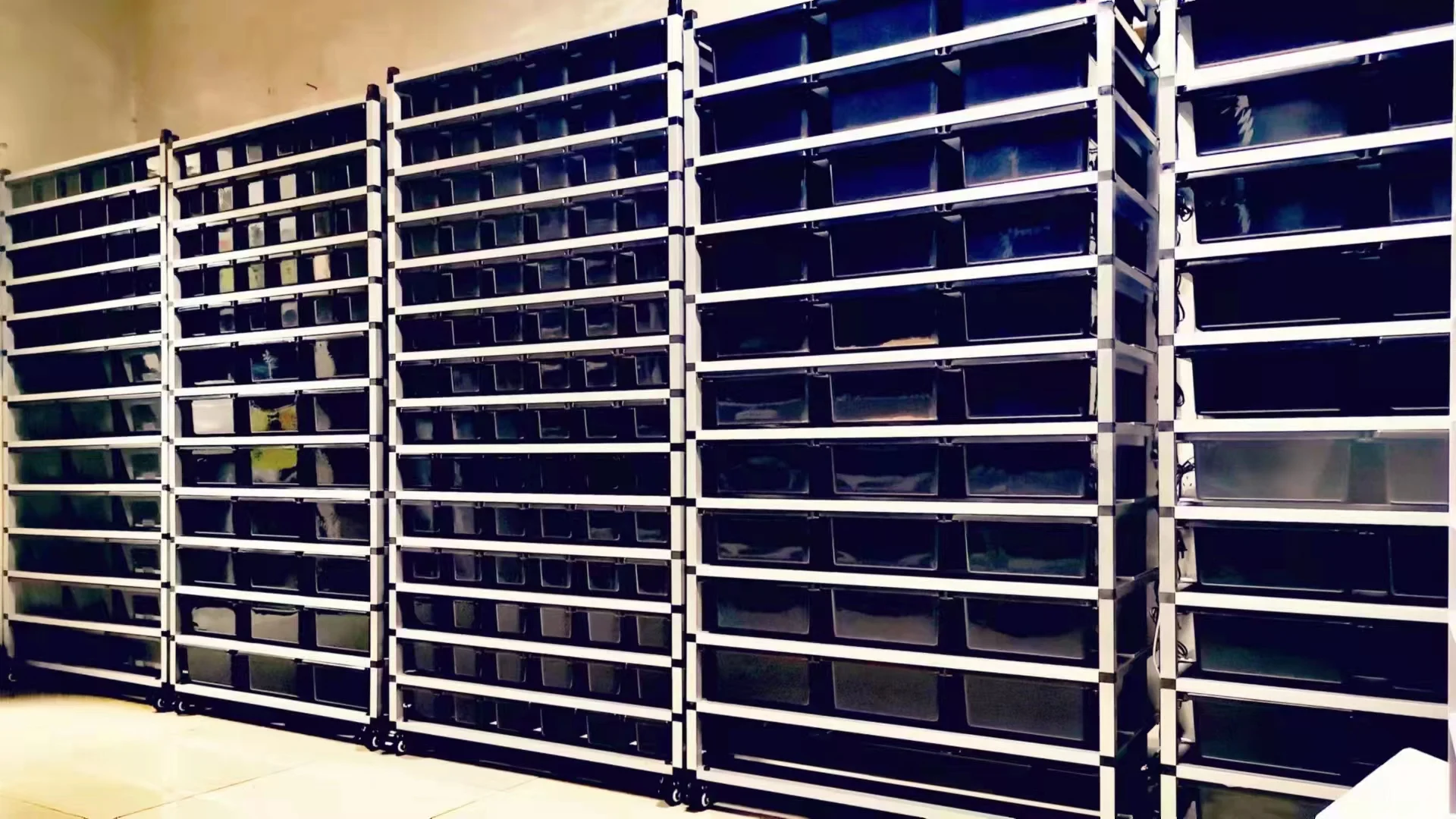 Different Size Of Modular Box Breeding Reptile Pvc Snake Rack System ...