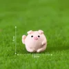 Little round pig