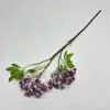 2 têtes violettes