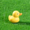 4#Duck