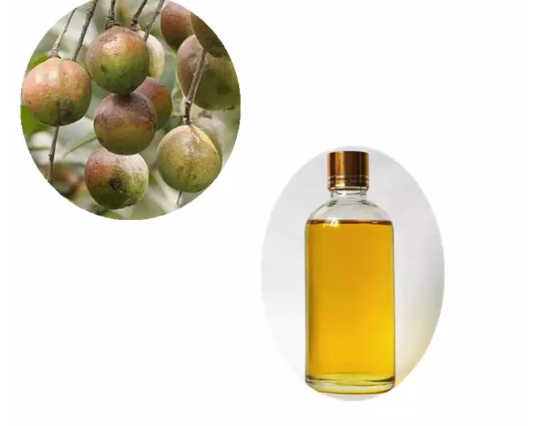 Olio Di Camelia Puro Per Coltelli E Attrezzi: Anticorrosione E Antiruggine, Hobbies Craft
