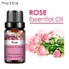 SY5522-11Rose