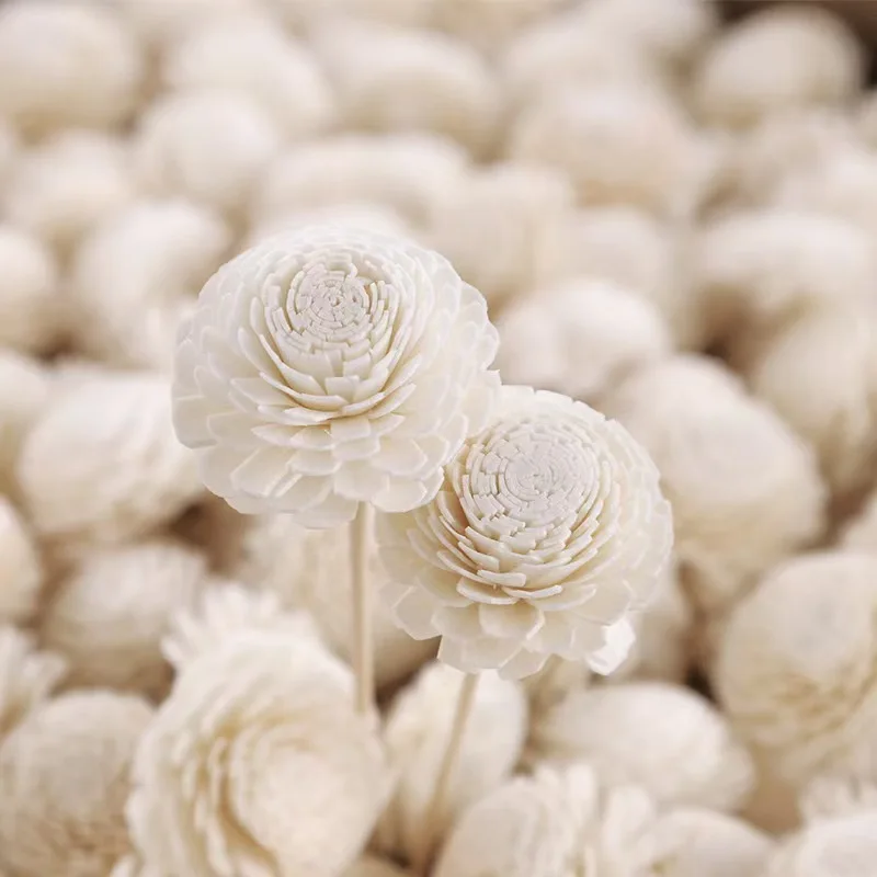 1 Stem White Sola Wood Flowers DIA 4.5cm Mini Dried Handmade