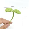 green mung bean sprout