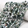 Tree agate