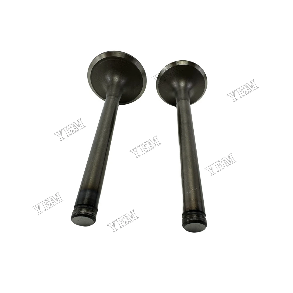 Intake and Exhaust Valve Fit for Doosan Develon D2848 Engine 6