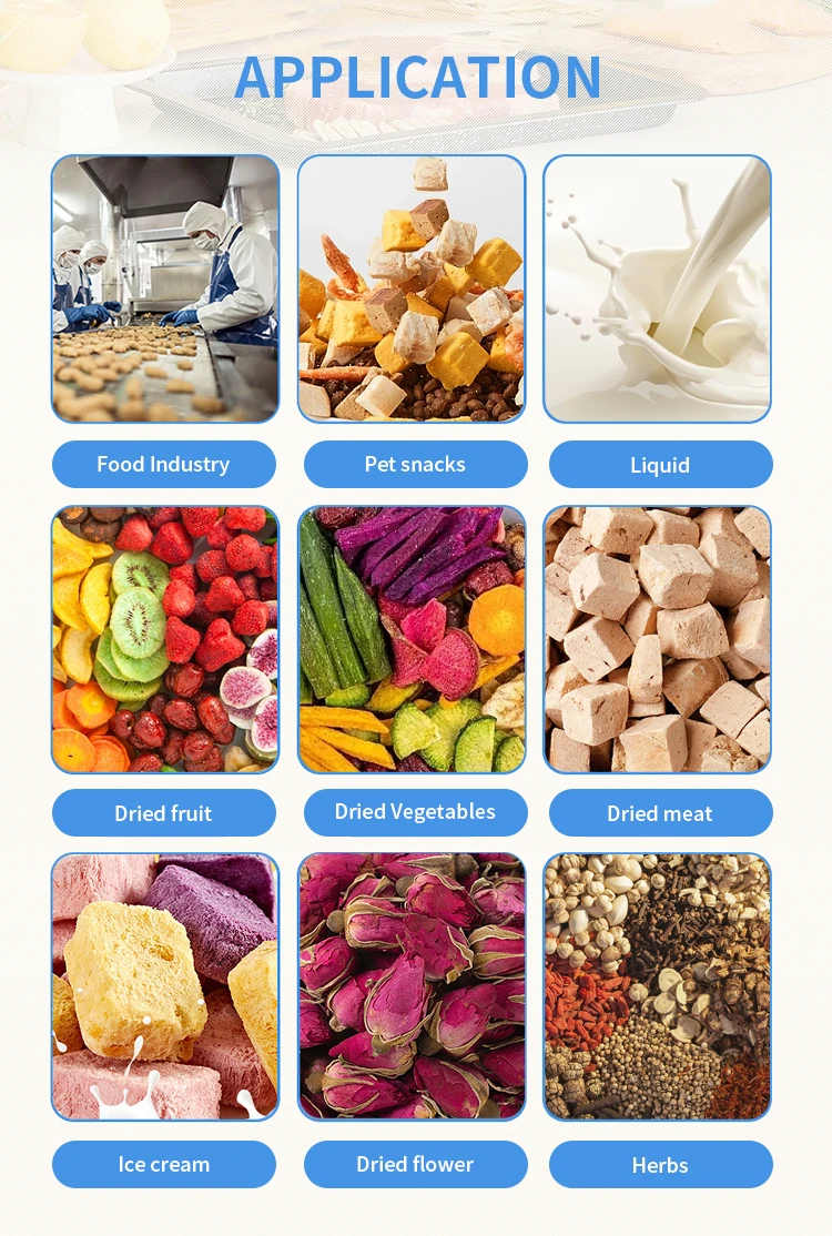 Household 6kg 8kg Fruit Food Mini Vacuum Dried Home Freeze Dryer Lyophilizer With Oil Free Vacuum Pump Machine USA Instock