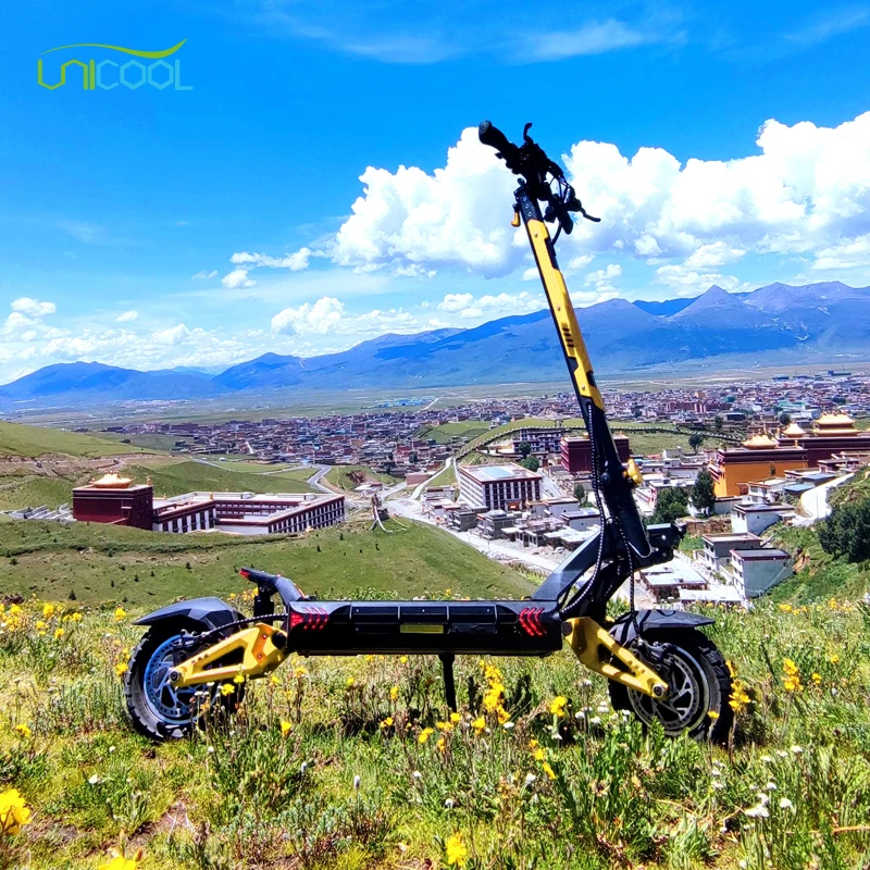 Ролик eleqtro Skuter Elektrikli турпан Электрический турпан Scuter Electrico скутер для взрослых E шаг Patinete электрический мопед скутер