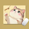 Gato gordito 0280