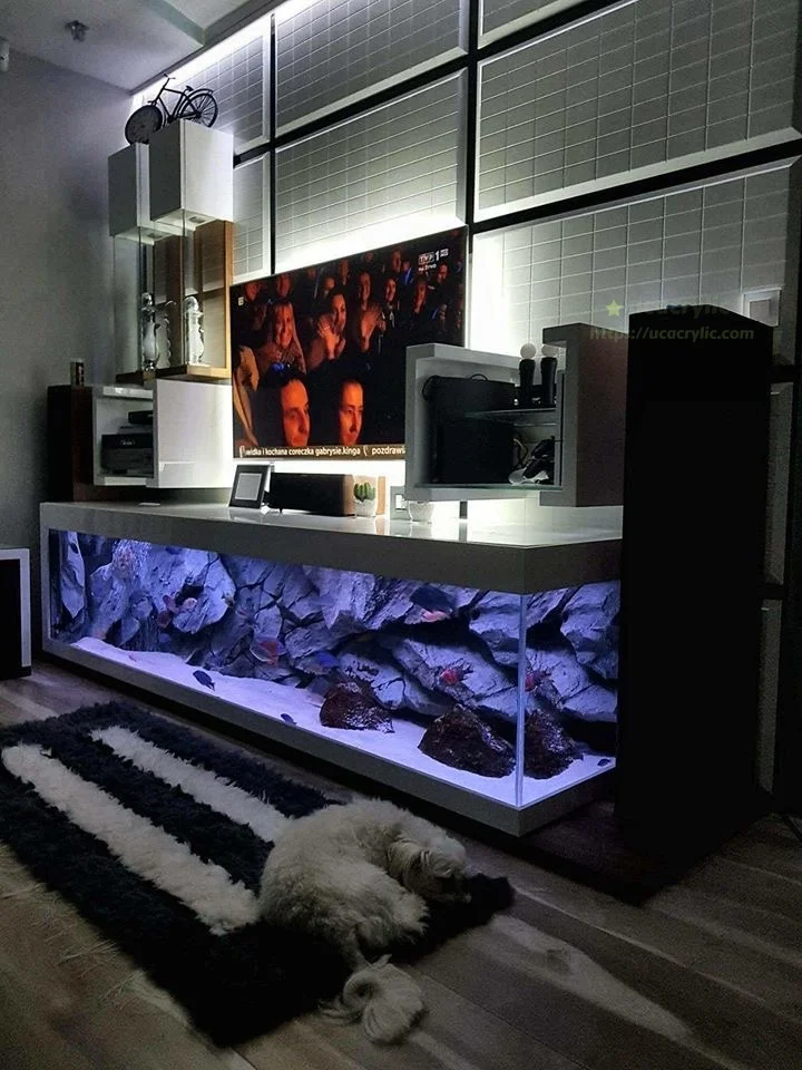 Custom Big Acrylic Fish Tank 300 Gallon Large Aquarium ODM