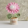 Girasol - Rosa