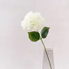Une branche blanche