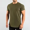 Verde dell'esercito