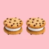 Biscuit de 5 cm (plastique)