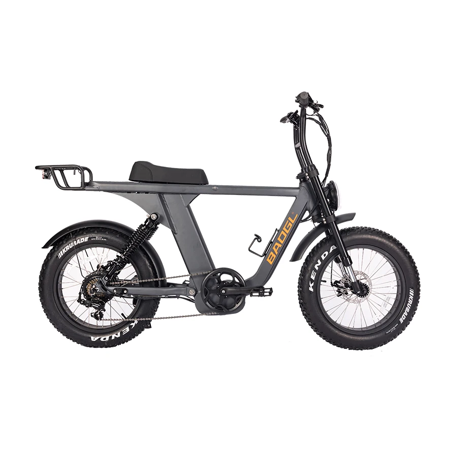 Baogl New Lafly 1000W Electric Bike 48V 20Ah Lithium Battery, 7