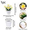 13 cm narcisi artificiali + erba primaverile a 8 rami, bianco/giallo