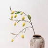 yellow branch