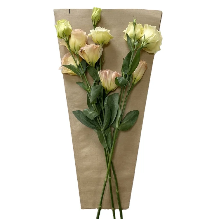 Promotional simple environmental protection exquisite flower sleeve kraft paper flower sleeve