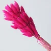 rose pink