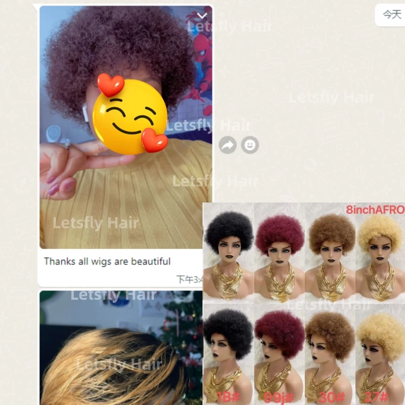ショートアフロ 女性 ショート アフロ キンキー カーリー ウィッグ 事前摘み取りレース 前頭合成毛ウィッグ 女性