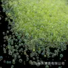Emerald green