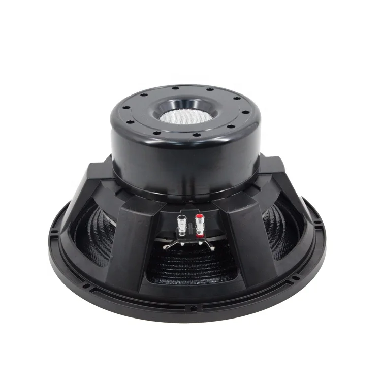 15 Inch Speaker Big Magnet  Neodymium Bass Subwoofer 15150-010 High Power Subwoofer for Line Array Speaker