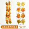 Maple vine - F (1 meter)
