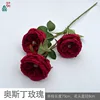 Austin Rose Y Rouge