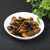 Tiger's eye stone