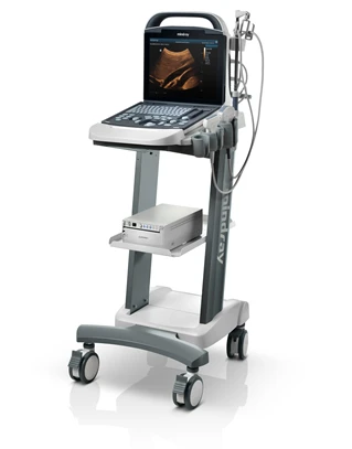 Human Use Mindray DP10 Medical BW Ultrasound Instruments Black and White Ultrasound Machine Price Portable Veterinary Scanner