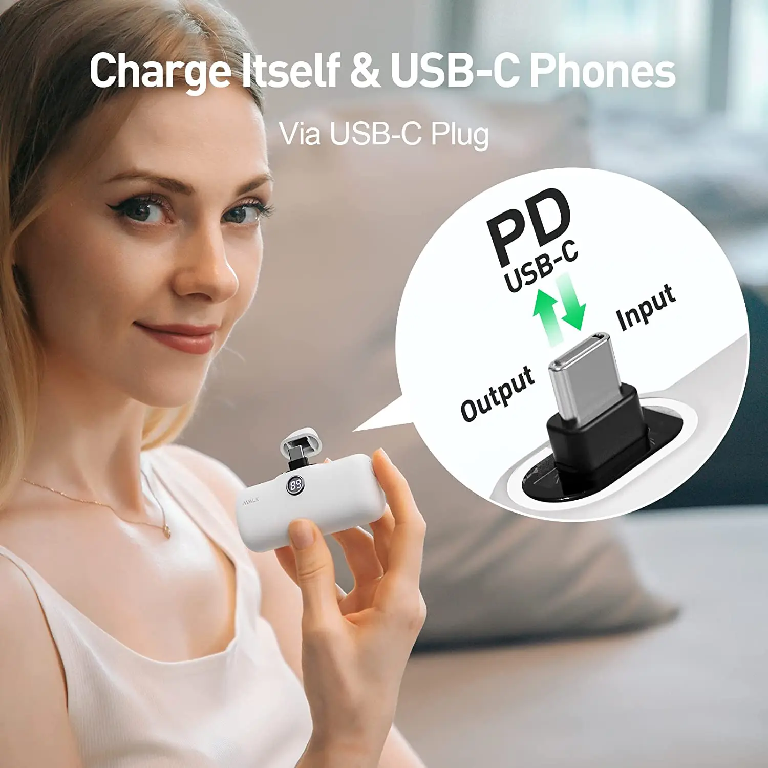 Iwalk Linkpod P Power Bank Pd Usb C Fast Charging Portable Phone ...