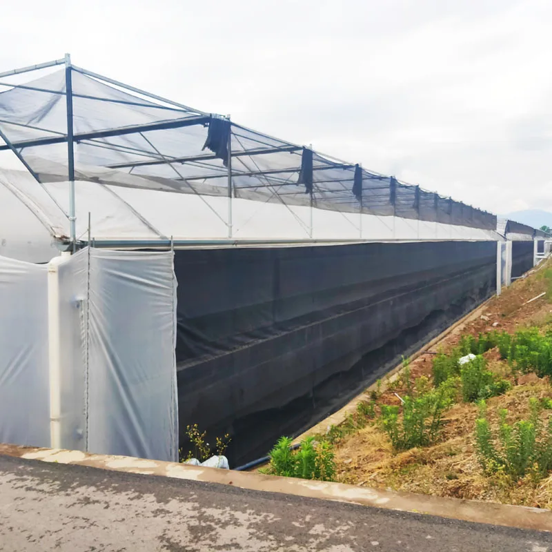 尖顶屋顶玻璃温室9.6米宽度用于幼苗