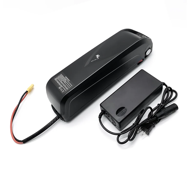 electric bike battery backup