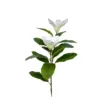 Magnolia white-60cm